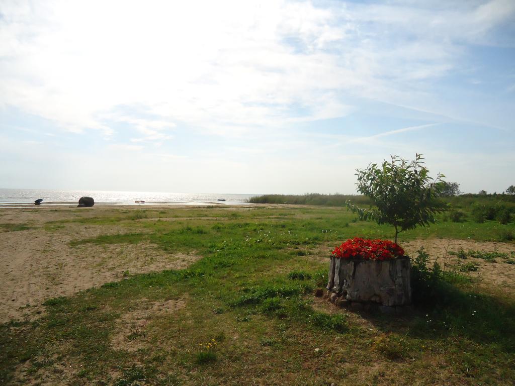 Hotel Paeevatalu Camping Vilusi Zewnętrze zdjęcie